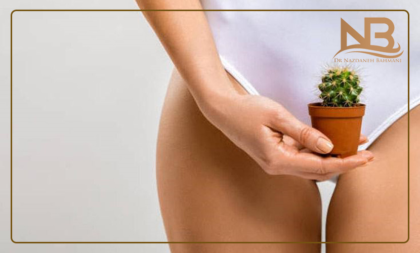 لیزر موی زائد واژن